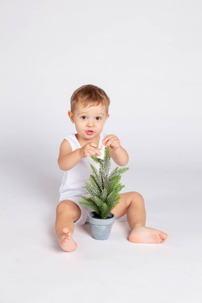 baby in a shirt and shorts decorates a small Christmas tree in a - Photo, image