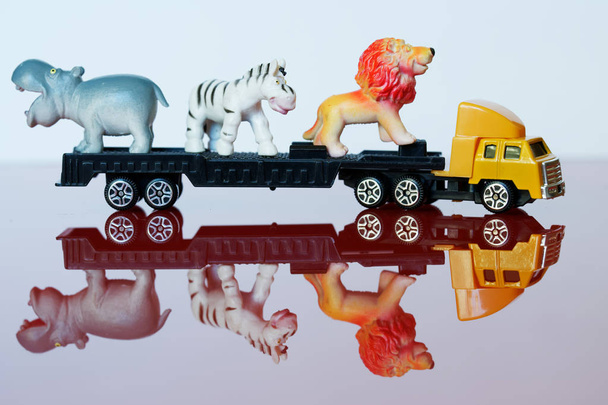 Un camión amarillo grande lleva animales africanos raros: cebra, león a
 - Foto, Imagen