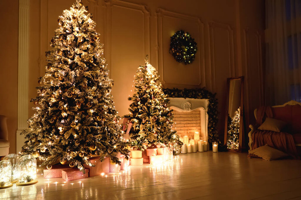 Festive room interior with beautiful Christmas trees - Photo, Image