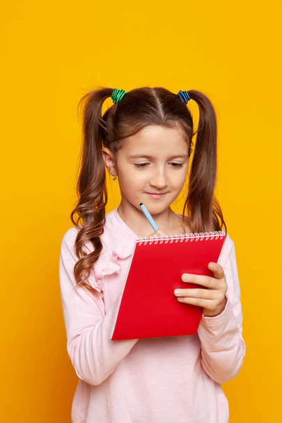 girl with two ponytails holding a notebook - Photo, Image