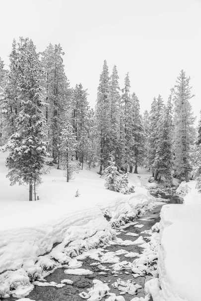 High-κλειδί χειμερινό τοπίο με έλατα και ένα ρεύμα στους πρόποδες της Ελβετίας - Φωτογραφία, εικόνα