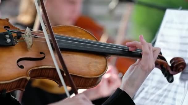 Houslista hraje na housle v orchestru venku zblízka - Záběry, video