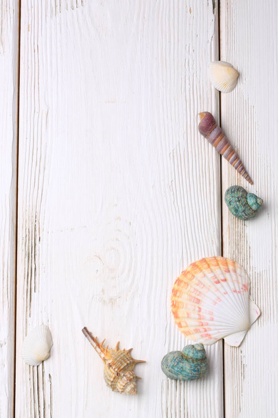 seashells on a white wooden background - Foto, afbeelding
