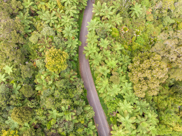 Фотография с беспилотника в отдаленных джунглях
 - Фото, изображение