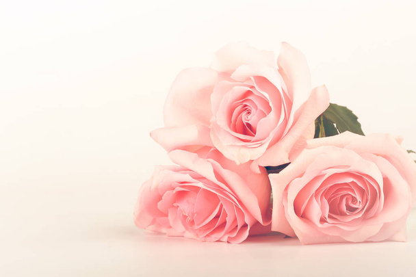 sanfter Hintergrund von rosa Rosen - Foto, Bild