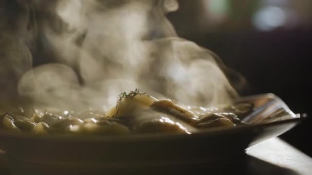 Sziluettje ravioli egy tányéron, gőz, közelkép - Felvétel, videó