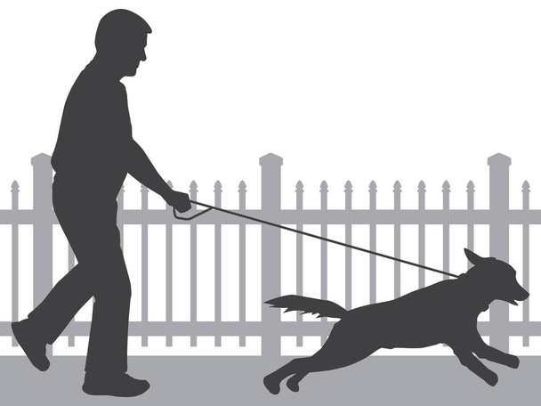 Mann läuft Hund in Silhouette - Vektor, Bild