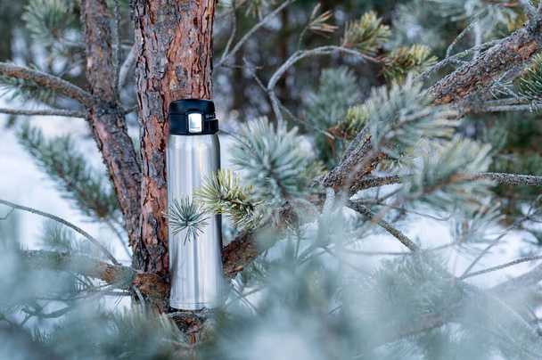 Steel thermos. Thermos among spruce branches. Hot drink in the winter. - Фото, зображення