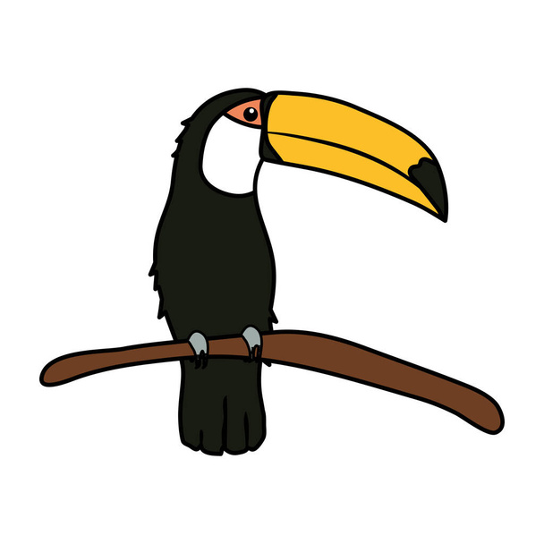 Toucan nature desing vector illustration - Вектор,изображение