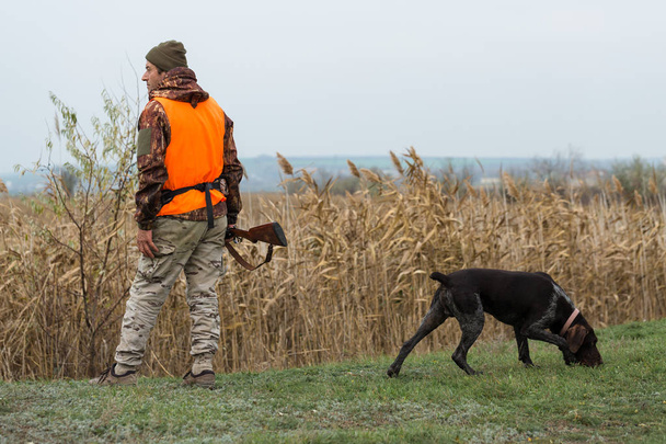 Человек с пистолетом в руках и оранжевым жилетом на охоте на фазанов в лесистой местности в пасмурную погоду. Охотник с собаками в поисках дичи. - Фото, изображение
