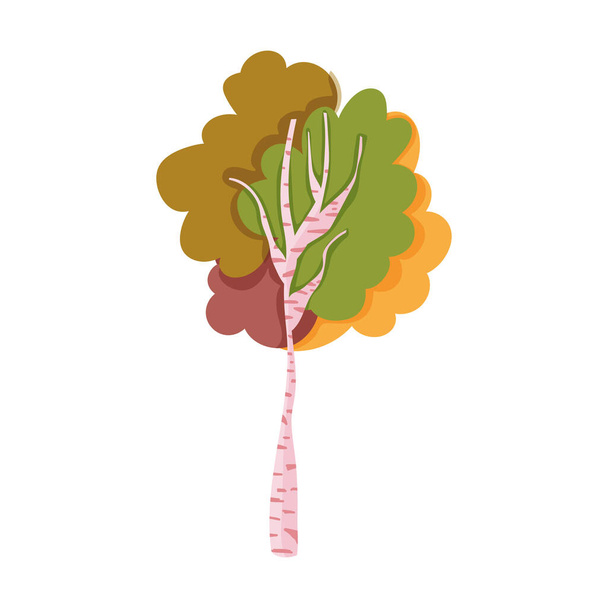 arbre feuillage nature botanique automne - Vecteur, image