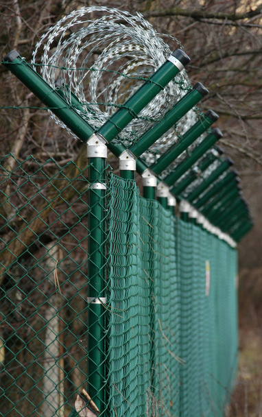 Groene draad hek rond bomen - Foto, afbeelding