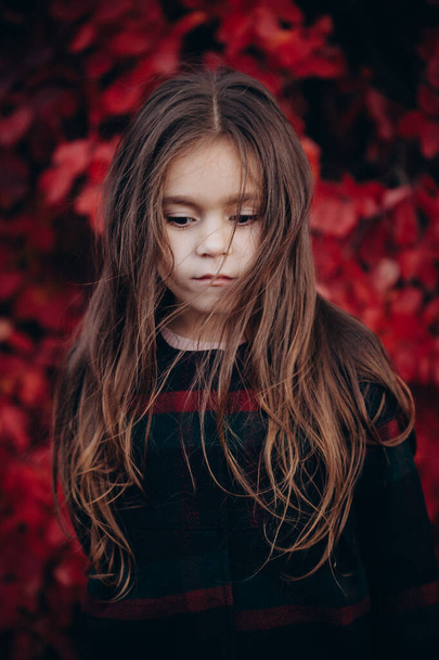 Portrait of cute little girl in autumn forest. - Photo, Image