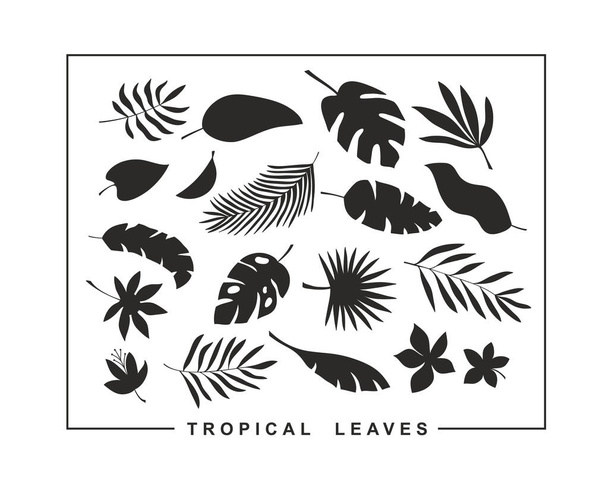 Set of tropical leaves and flowers for modern surface design. - Вектор,изображение