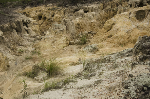 Arid landscape, dry yellowish sand soil - Photo, Image