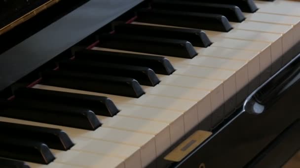 Interessante mystieke zelfspelende piano. Zwart-wit pianotoetsen die alleen spelen - Video