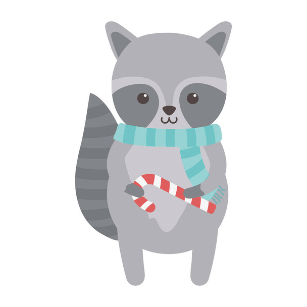 cute raccoon with scarf and candy cane merry christmas - ベクター画像