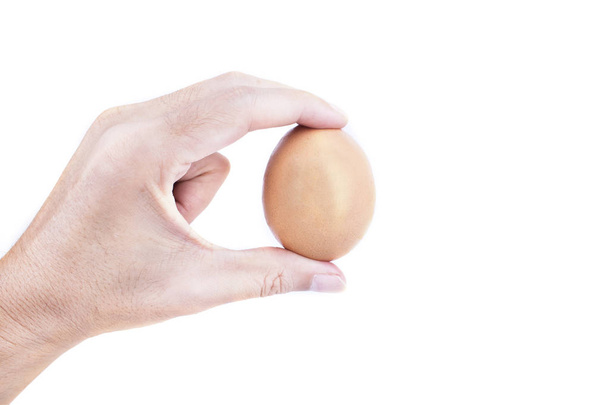 Man hand with egg isolated on white background - Foto, afbeelding