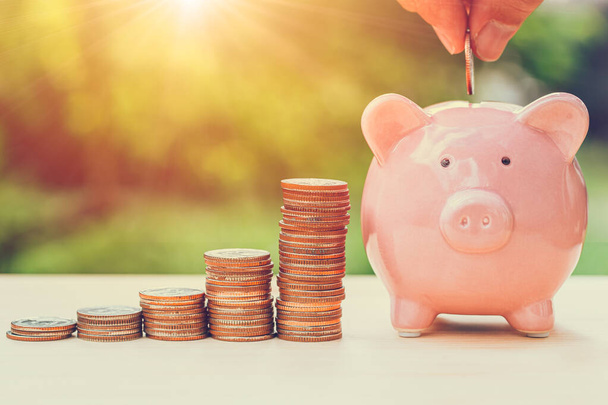 Coins Money wealth income saving with piggy bank concept outdoor with sunshine nature background. - Photo, Image
