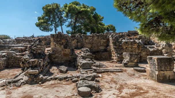 Pine trees on the ancient Greek ruins in the Central part of the island of Crete - Φωτογραφία, εικόνα