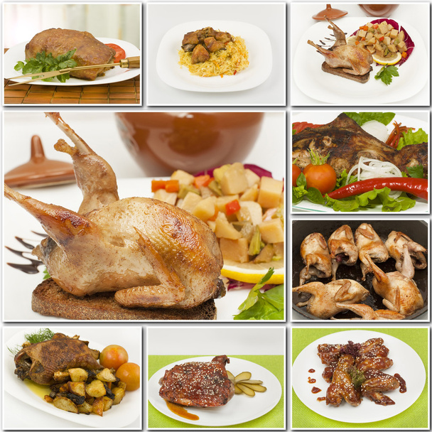 collage de diferentes alimentos avícolas
 - Foto, Imagen