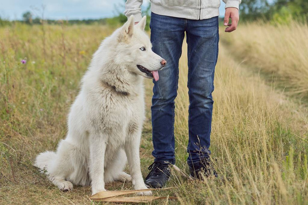 Boy walking a dog on cloudy day, white husky with male in nature - Foto, Bild