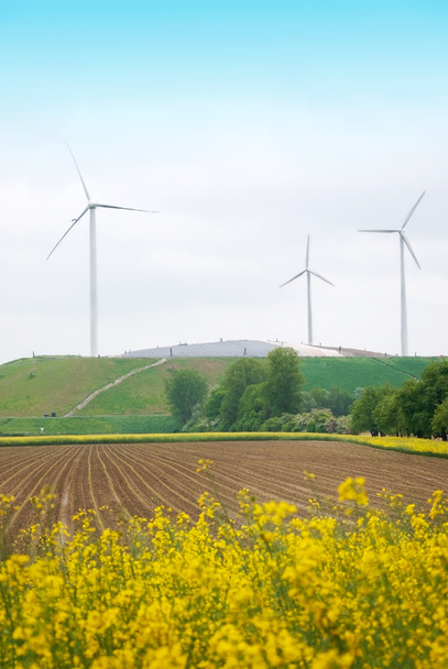 Wind turbines - Photo, Image