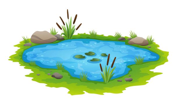 Natural pond outdoor scene. Small blue decorative pond isolated on white, lake plants nature landscape fishing place. Scenery of natural pond with flower bloom. Graphic design for Spring season - Vector, Image