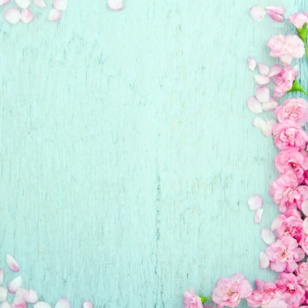 Fundo de madeira azul com flores rosa
 - Foto, Imagem