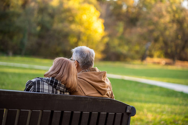 Romantic senior couple is sitting on bench in park and enjoying autumn. - Photo, Image