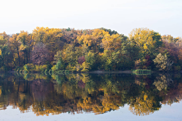 Autumn landscape by the river - Photo, Image