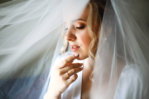 Portrait of beautiful bride with fashion veil at wedding morning. A photo of delicate bride's hands hidden under a veil. Young woman with professional make up and hair style. Wedding day. Marriage. - Fotografie, Obrázek