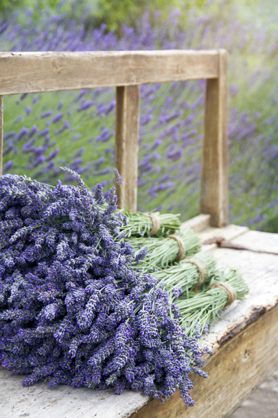 Stapel Lavendelsträuße auf einer Holzbank - Foto, Bild