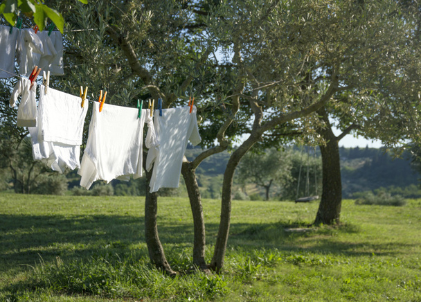 witte schoon t-shirts drogen aan een waslijn - Foto, afbeelding
