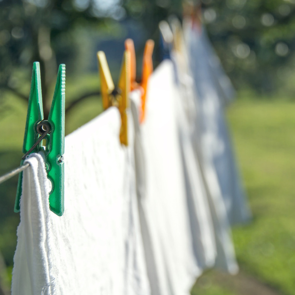 bílé prádlo sušení na prádelní šňůře - Fotografie, Obrázek