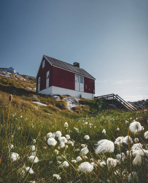 The colorful red house of Rodebay Ilulissat, Greenland. This settlement is located on a small peninsula jutting off the mainland into eastern Disko Bay, 22.5 km north of Ilulissat - Foto, Imagem