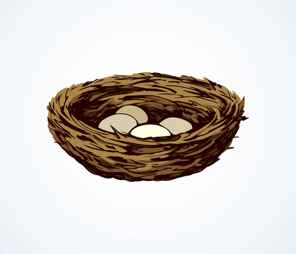 Nest. Vector tekening - Vector, afbeelding