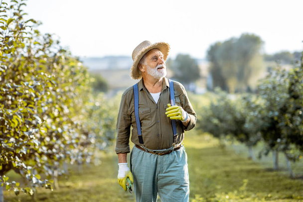 Старший чоловік у яблучному саду
 - Фото, зображення