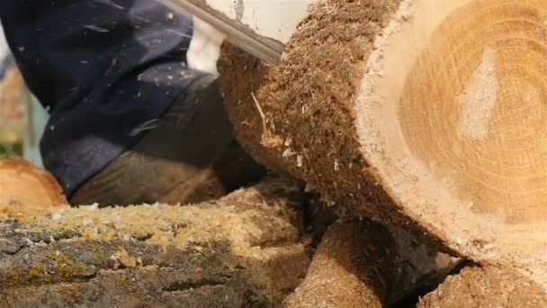 Durchschneiden von Holz mit der Kettensäge. Nahaufnahme. Zeitlupe - Filmmaterial, Video