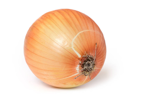 Bulb onion isolate on a white background - Photo, Image