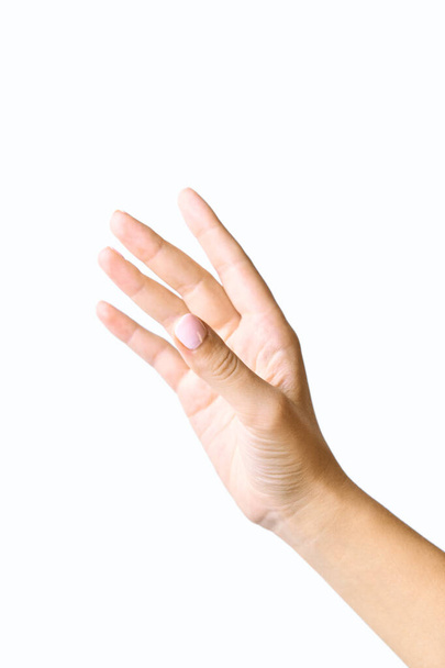 Güzel kadın elleri. Nazikçe pembe manikürlü. Beyaz bir arkaplanda izole edilmiş - Fotoğraf, Görsel