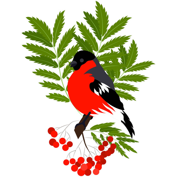Bullfinch on a rowan branch. The composition is perfect both as a full-fledged illustration, and as a pattern or set of elements for design. Vector graphics. - Vector, Image