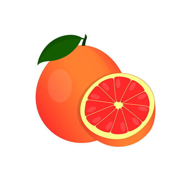 Vector grapefruit. A whole grapefruit and a cut. - Vector, Image