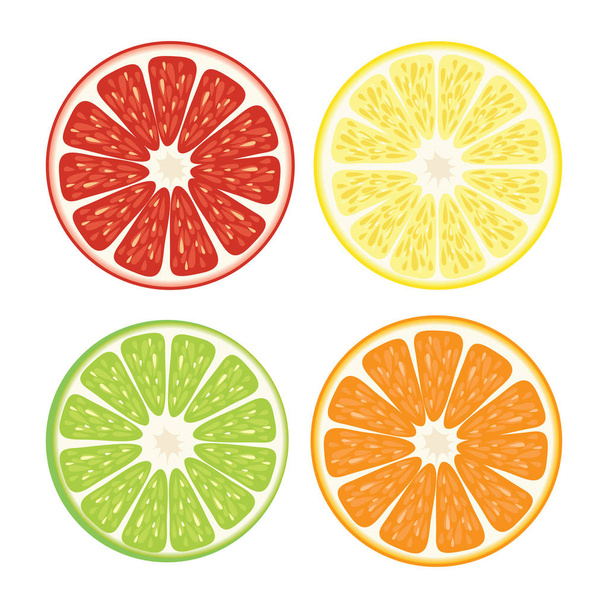 Orange lime grapefruit mandarin slice icons set - Vector, imagen
