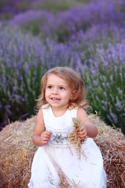 baby in a white dress plays with hay in a lavender field - Фото, зображення