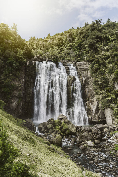 Yeni Zelanda ormanındaki güzel bir şelalenin resmi. - Fotoğraf, Görsel