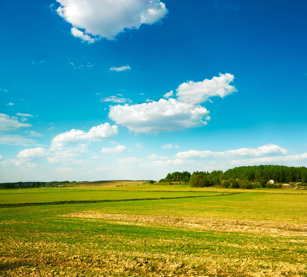 lente landschap met veld en wolken - Foto, afbeelding