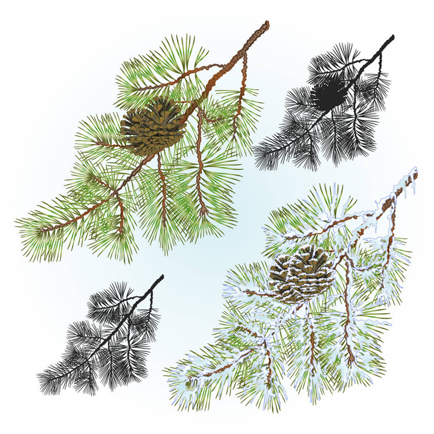 Соснові гілки з сосновими шишками Осінній та зимовий фон Вінтажні векторні ілюстрації ручний малюнок
 - Вектор, зображення
