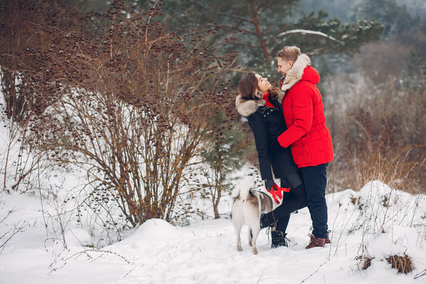 Beautiful couple playing with a dog - Zdjęcie, obraz