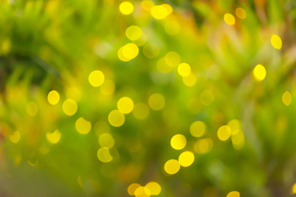 Defokus na světlušky záblesky v tropickém lese. - Fotografie, Obrázek
